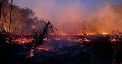 incendio pantanal