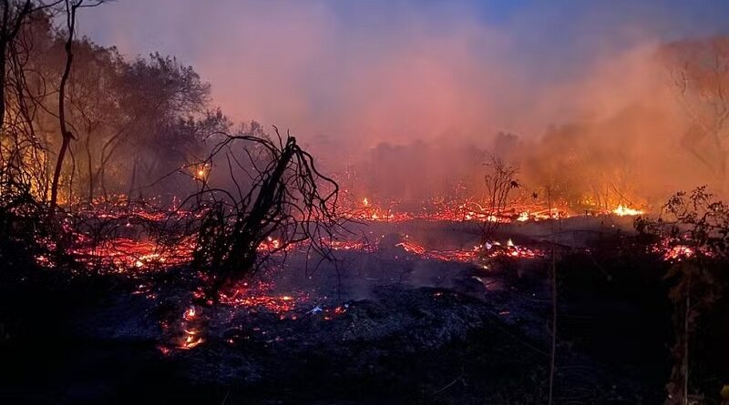 incendio pantanal