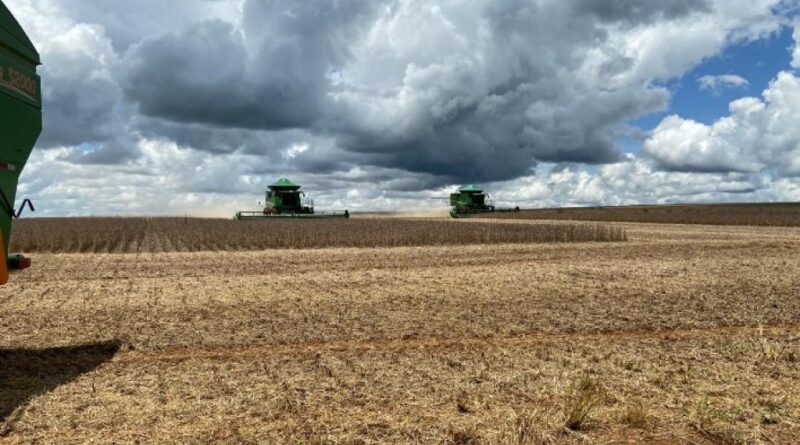 Colheita de soja avança no sudoeste de Goiás e alcança 95% da área na região da Comigo