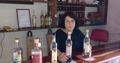 Aposentada transforma fazenda em Felixlândia e se destaca na produção de cachaça e produtos artesanais