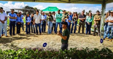 Nova biossolução chega ao Brasil e promete aumentar produtividade de soja e milho