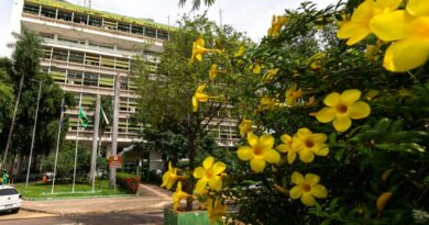 Confira as políticas públicas da Prefeitura de Cuiabá voltadas para as mulheres