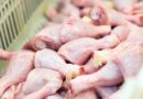 Com preços firmes, exportações de frango ampliam receita em fevereiro