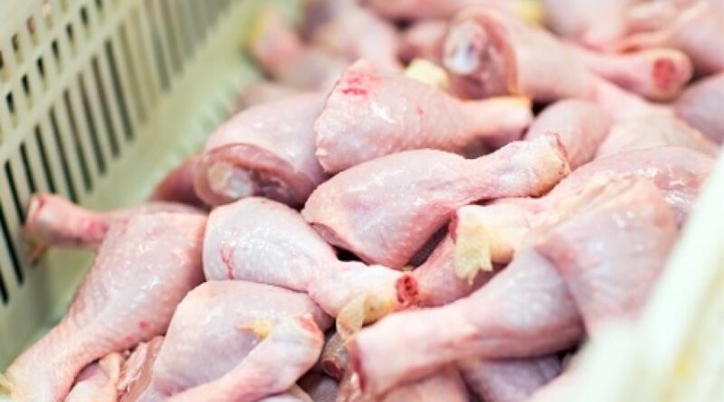 Com preços firmes, exportações de frango ampliam receita em fevereiro
