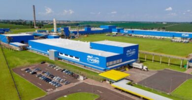 C.Vale amplia em 14% o processamento de peixes e bate recordes na produção de tilápias em 2025