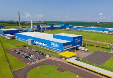 C.Vale amplia em 14% o processamento de peixes e bate recordes na produção de tilápias em 2025