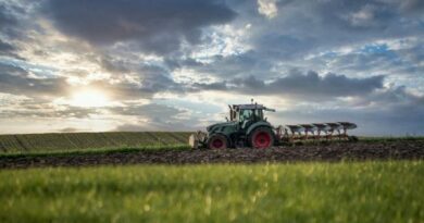Índia desponta como novo mercado estratégico para o agronegócio brasileiro