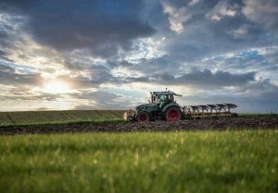 Índia desponta como novo mercado estratégico para o agronegócio brasileiro