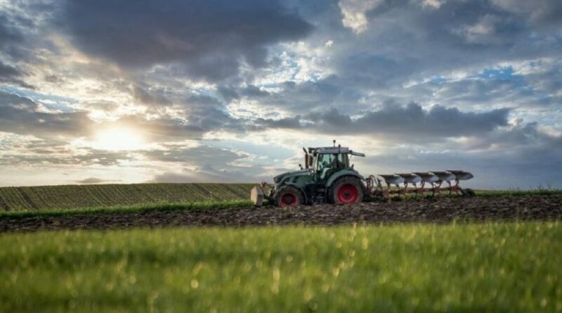 Índia desponta como novo mercado estratégico para o agronegócio brasileiro