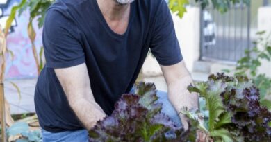 Projeto de autoria de Lúdio Cabral garante comida saudável na merenda escolar em Mato Grosso