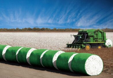 Algodão avança na Bolsa de Nova York e mercado brasileiro registra negociações moderadas