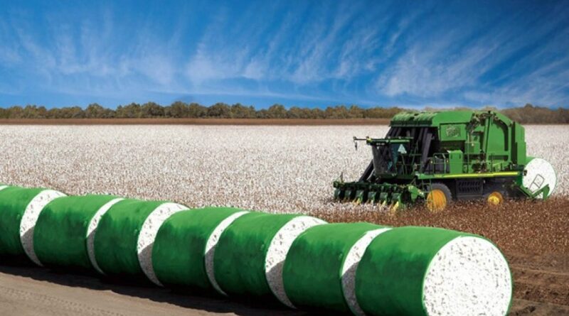 Algodão avança na Bolsa de Nova York e mercado brasileiro registra negociações moderadas