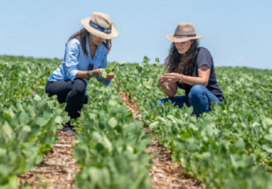 Protagonismo feminino avança no agronegócio brasileiro