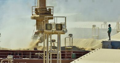 Exportações de soja de Mato Grosso registram recorde para fevereiro e refletem avanço da colheita