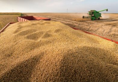 Colheita de soja em Patos de Minas alcança 60% da área plantada com boa produtividade