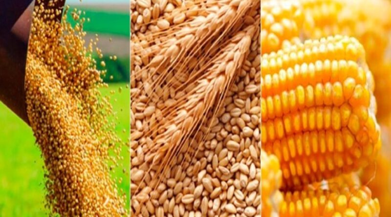 Relatório do USDA revisa produção global de soja, milho e trigo e traz novos sinais para o mercado de grãos