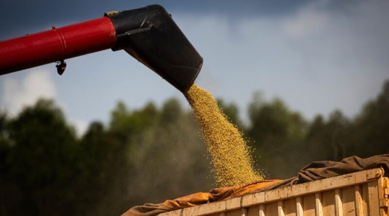 Soja: conflito no Oriente Médio domina mercado enquanto relatórios do USDA e da Conab trazem poucas mudanças