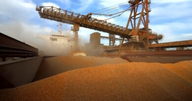 Exportações do agronegócio ganham força em março e soja pode superar 17 milhões de toneladas, aponta ANEC