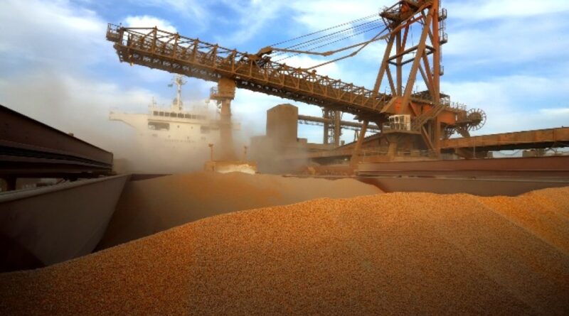 Exportações do agronegócio ganham força em março e soja pode superar 17 milhões de toneladas, aponta ANEC