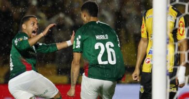 Palmeiras garante 27º título Paulista e consolida hegemonia estadual