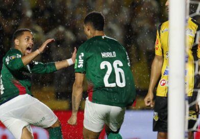 Palmeiras garante 27º título Paulista e consolida hegemonia estadual