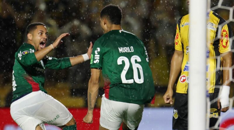 Palmeiras garante 27º título Paulista e consolida hegemonia estadual