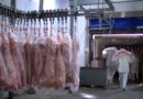 Exportações de carne suína do Brasil crescem em fevereiro; Filipinas lideram importações
