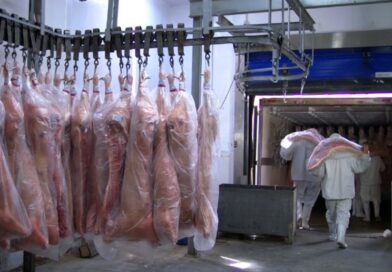 Exportações de carne suína do Brasil crescem em fevereiro; Filipinas lideram importações