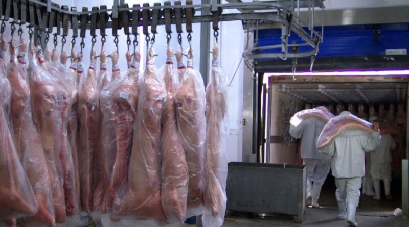 Exportações de carne suína do Brasil crescem em fevereiro; Filipinas lideram importações
