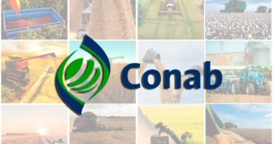 Safra de grãos do Brasil pode atingir 353,4 milhões de toneladas em 2025/26 e renovar recorde histórico