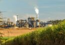 Safra 2025/2026: usinas de Alagoas já processaram 16,5 milhões de toneladas de cana