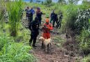 Corpo de Bombeiros localiza corpo de vítima desaparecida em Diamantino