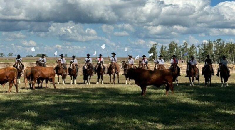 Biogénesis Bagó lança Comitiva Produz+ no Congresso Mundial Brangus para fortalecer sanidade na pecuária brasileira