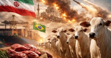 Guerra no Irã pressiona exportações de carne bovina e acende alerta no agronegócio brasileiro