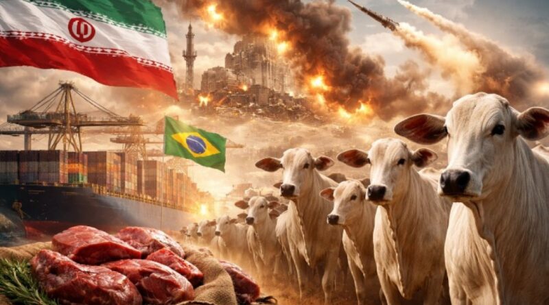 Guerra no Irã pressiona exportações de carne bovina e acende alerta no agronegócio brasileiro