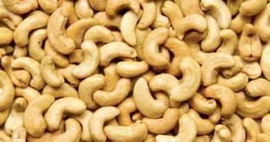 Brasil abre novos mercados para macadâmia, castanha de caju e carne suína em Turquia e Singapura