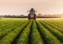 Mercado de Defensivos Agrícolas Entra em Fase de Atenção Máxima
