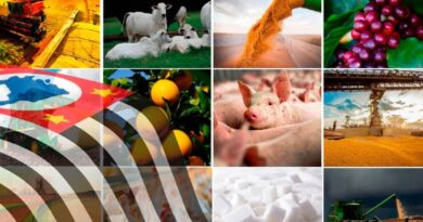 Agro de São Paulo alcança superávit de US$ 2,79 bilhões no comércio exterior no início de 2026