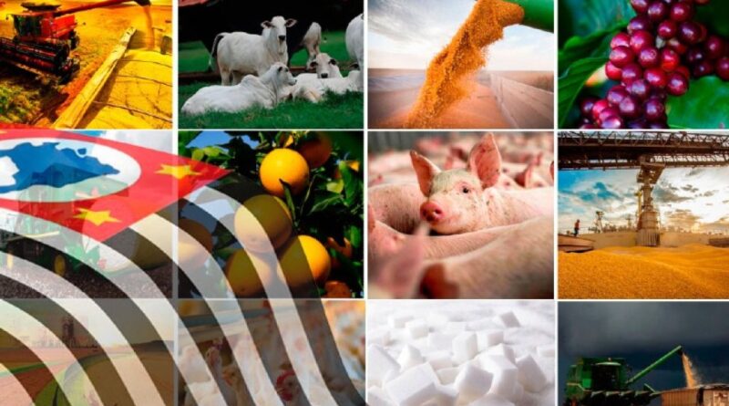 Agro de São Paulo alcança superávit de US$ 2,79 bilhões no comércio exterior no início de 2026