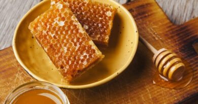 Brasil amplia exportações do agronegócio com novas aberturas de mercado na Nova Zelândia e na Turquia