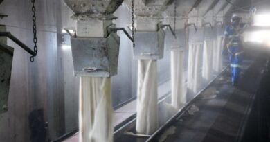 Exportação de açúcar ganha ritmo com 44 navios na fila e previsão de embarque de 1,56 milhão de toneladas