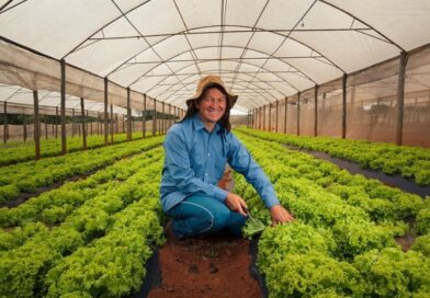 Mapfre lança seguro agrícola anual para hortaliças em Mogi das Cruzes