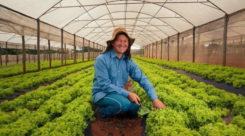 Mapfre lança seguro agrícola anual para hortaliças em Mogi das Cruzes