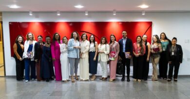 Procuradoria da Mulher da ALMT fortalece articulações na ONU Mulheres e no Senado por direitos e proteção