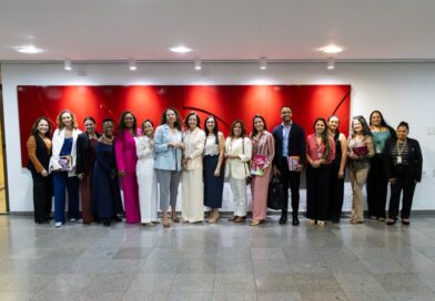 Procuradoria da Mulher da ALMT fortalece articulações na ONU Mulheres e no Senado por direitos e proteção