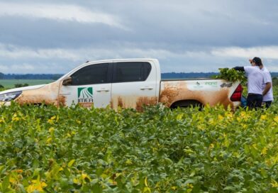 Mato Grosso deve colher safra recorde de 51,4 milhões de toneladas de soja