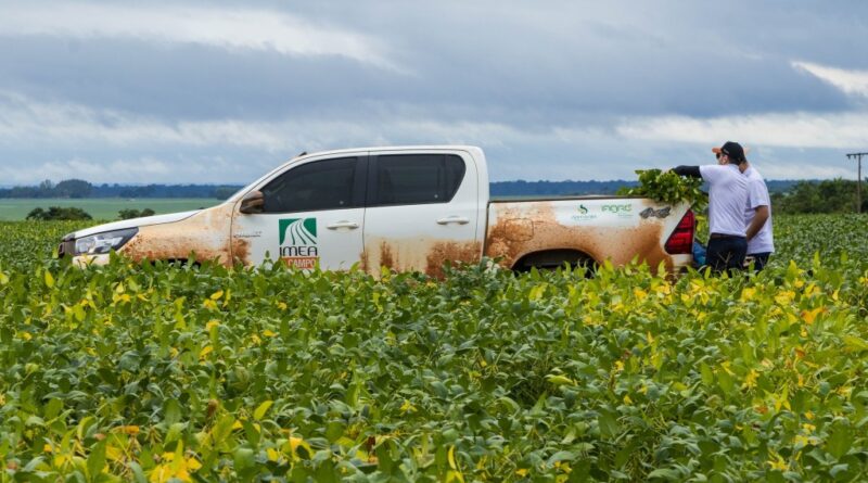 Mato Grosso deve colher safra recorde de 51,4 milhões de toneladas de soja