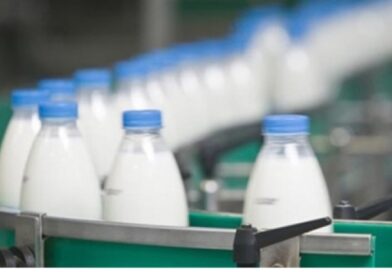 Exportações brasileiras de lácteos avançam quase 30% em fevereiro, aponta boletim do IMEA