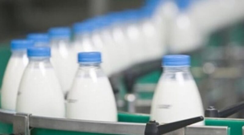 Exportações brasileiras de lácteos avançam quase 30% em fevereiro, aponta boletim do IMEA