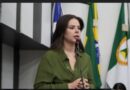 Michelly Alencar defende preservação da finalidade da Comissão de Direitos da Mulher